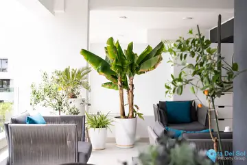 2 bedroom Apartment for Sale in Estepona-13815