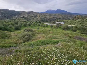 19056m2 Plot for Sale in Tolox-84355