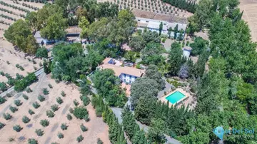 7 bedroom House for Sale in Archidona-19061