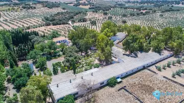 7 bedroom House for Sale in Archidona-19064