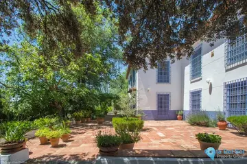 7 bedroom House for Sale in Archidona-19066