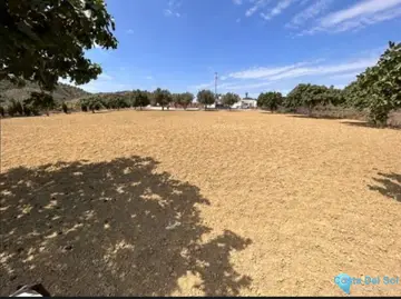 15641m2 Plot for Sale in Mijas-19109