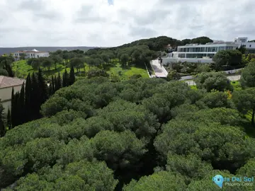 2586m2 Plot for Sale in Sotogrande-85311