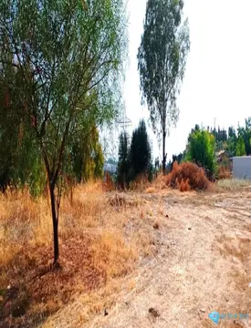 1350m2 Plot for Sale in La Quinta-85863