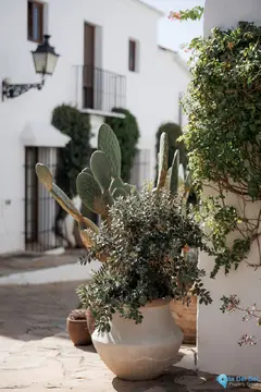 2 bedroom House for Sale in Nueva Andalucía-21587