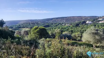 3315m2 Plot for Sale in Sotogrande