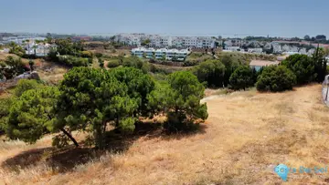 1166m2 Plot for Sale in Selwo-82185