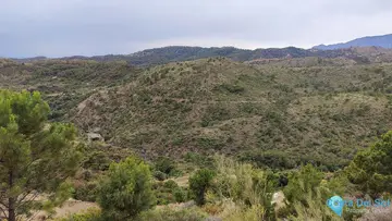 4300m2 Plot for Sale in Benahavís-89281
