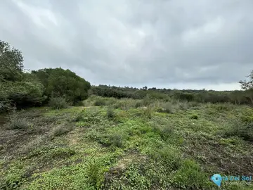 2920m2 Plot for Sale in Sotogrande Alto