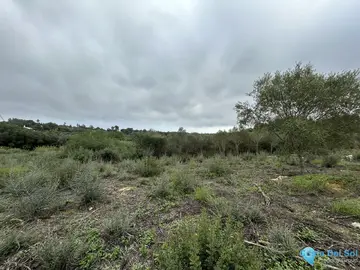 2920m2 Plot for Sale in Sotogrande Alto-87090