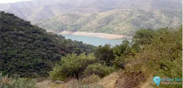 30000m2 Plot for Sale in Istán-88283