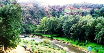 24000m2 Plot for Sale in Entrerrios-21755