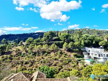 3000m2 Plot for Sale in El Madroñal-21837