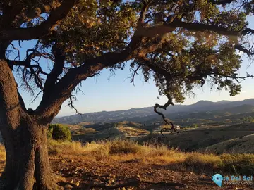 60000m2 Plot for Sale in Valtocado-23243