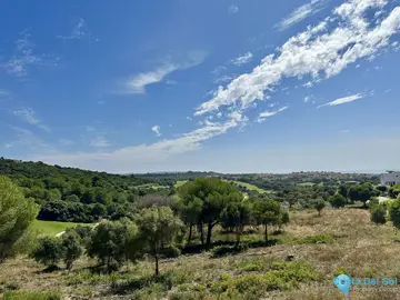 3455m2 Plot for Sale in Sotogrande