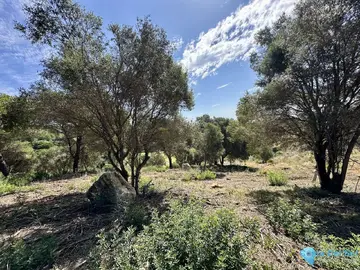 3455m2 Plot for Sale in Sotogrande-26414