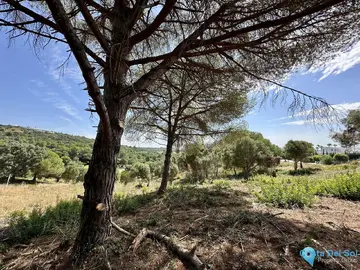 3455m2 Plot for Sale in Sotogrande-26421