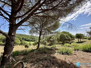 3455m2 Plot for Sale in Sotogrande-26422