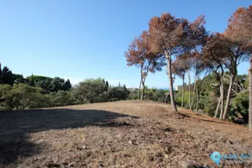 4100m2 Plot for Sale in Hacienda Las Chapas-88338