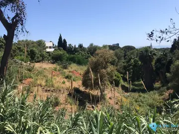 4100m2 Plot for Sale in Hacienda Las Chapas-88342