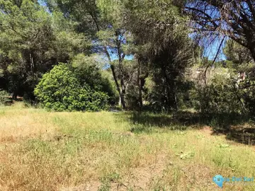 4100m2 Plot for Sale in Hacienda Las Chapas-88343