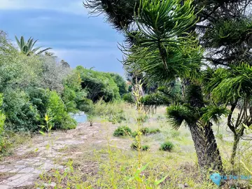 1187m2 Plot for Sale in Estepona