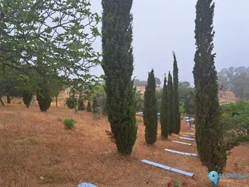 4 bedroom House for Sale in Entrerrios-27576