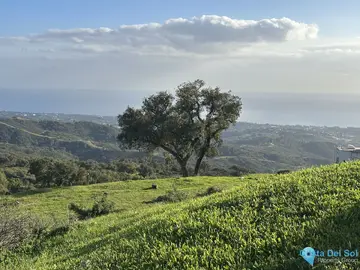 34000m2 Plot for Sale in La Mairena