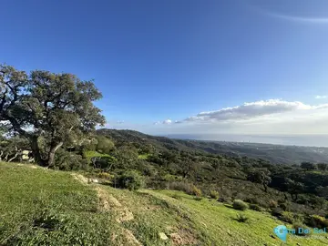 34000m2 Plot for Sale in La Mairena-27814