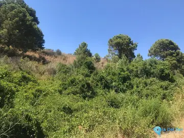 27265m2 Plot for Sale in Estepona-28914