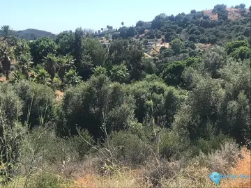 27265m2 Plot for Sale in Estepona-28916