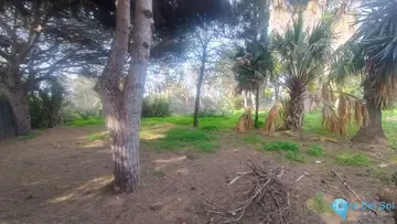 1933m2 Plot for Sale in Hacienda Las Chapas-29607