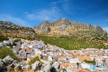 5174m2 Plot for Sale in Ronda