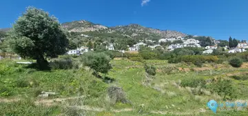 17340m2 Plot for Sale in Mijas-31113