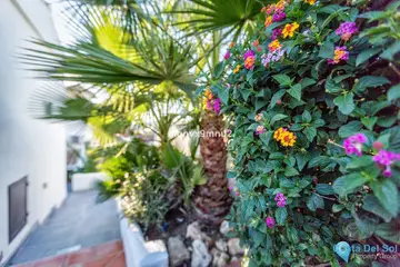 5 bedroom House for Sale in El Chaparral-31441