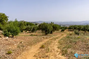 25510m2 Plot for Sale in Alhaurín de la Torre