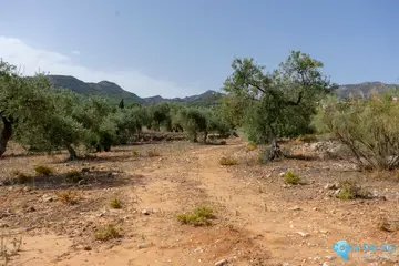 25510m2 Plot for Sale in Alhaurín de la Torre-32368