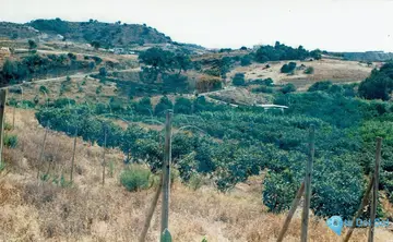 30000m2 Plot for Sale in Estepona-32373