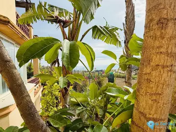 5 bedroom House for Sale in Casares-36543