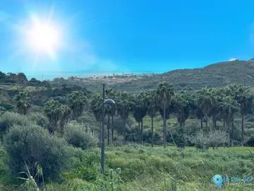 5000m2 Plot for Sale in Estepona-37510