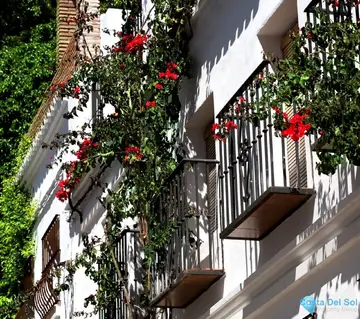 6 bedroom House for Sale in Marbella-37723