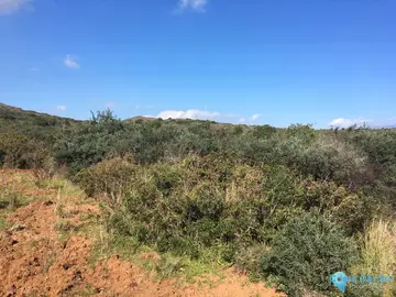 143500m2 Plot for Sale in Manilva-38287