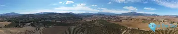 580000m2 Plot for Sale in Coín-39371