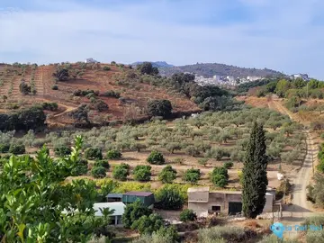 110000m2 Plot for Sale in Guaro-40824