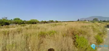 9500m2 Plot for Sale in Estepona