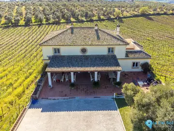 51520m2 Plot for Sale in Ronda