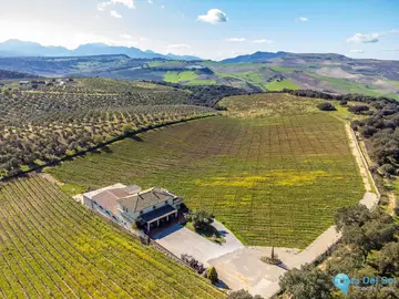 51520m2 Plot for Sale in Ronda-41282