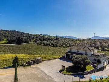 51520m2 Plot for Sale in Ronda-41288