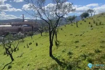 20000m2 Plot for Sale in Coín-41292