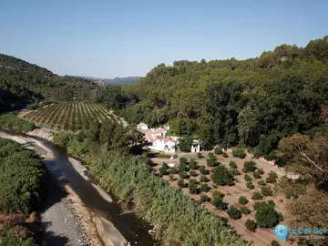 8 bedroom House for Sale in Gaucín-41317